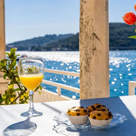 Marija - Waterfont With Sunbeds! Unique Zaton (Dubrovnik-Neretva)